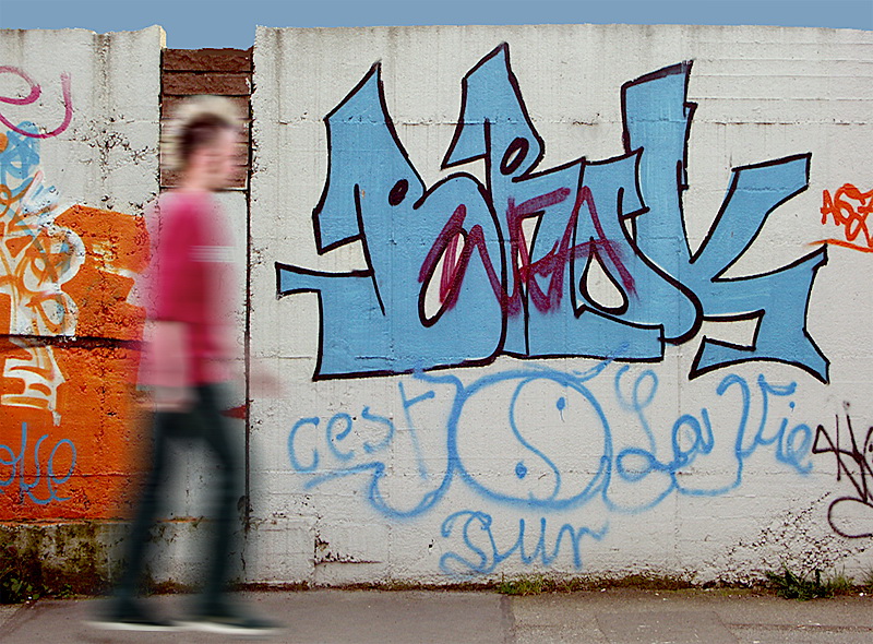 Punk PICT4672    NR Kopie.jpg